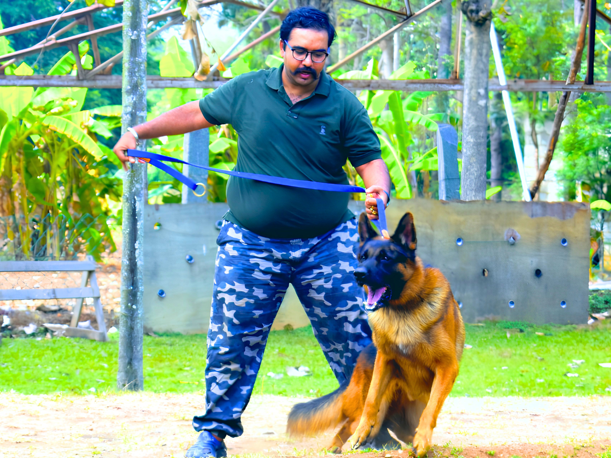 Aggressive Control Training