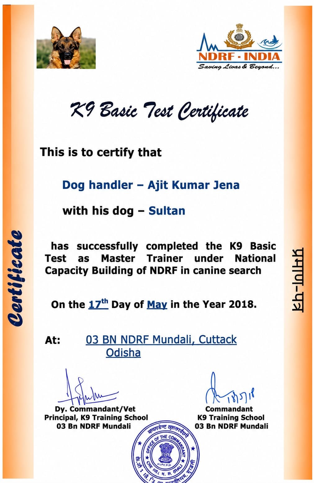 Dog Trainer